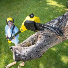 Lawn Pest Prevention in Marshall, MN